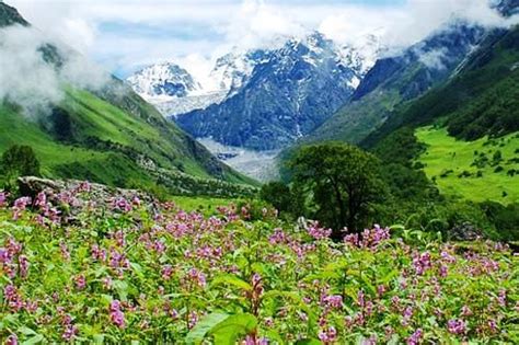 Parques Nacionales De Nanda Devi Y El Valle De Las Flores India