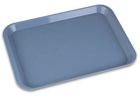 Morris Medray Dental Buy Large Flat Plastic Tray 24x34cm Blue