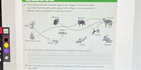Solved Visual Leading Tool Food Webs 1 Find A Food Chain That