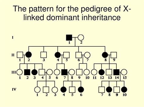 Ppt Sex Linked Inheritance Powerpoint Presentation Free Free Nude