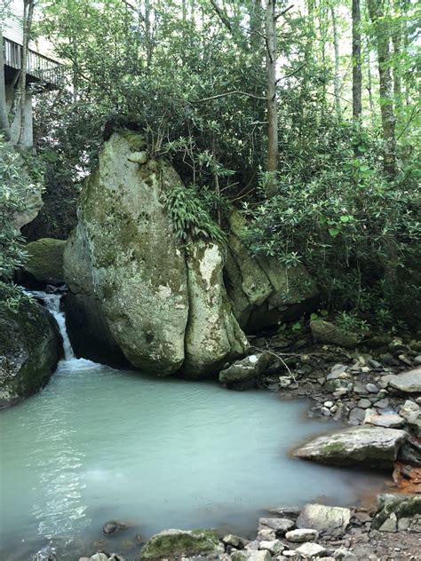 Huge collection, amazing choice, 100+ million high quality, affordable rf and rm images. Photos of Lower Pond Creek Trail - North Carolina | AllTrails