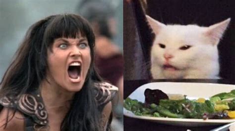 Xena Yelling At Cat Blank Template Imgflip