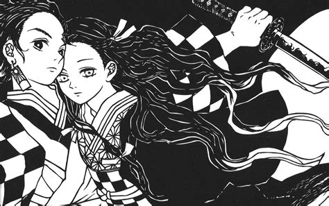 One of the most common, popular and attractive options is wallpaper. Demon Slayer: Kimetsu no Yaiba HD Wallpaper | Background ...