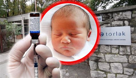 Istina O BsŽ Vakcini Šta Ako Je Beba Primila Povučenu Torlakovu