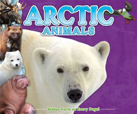 Arctic Animals Fun Facts For Kids Series By Kids Books Hardcover