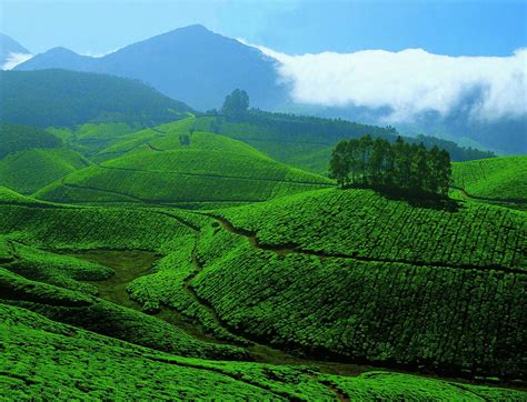 Luxury Hotels In India Kerala Tourist Attractions Top 5 Exotic Places To Explore