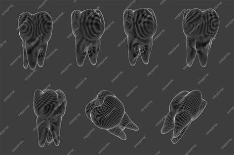 Premium Vector Vector Set Of 3d Teeth For Dental Medicine