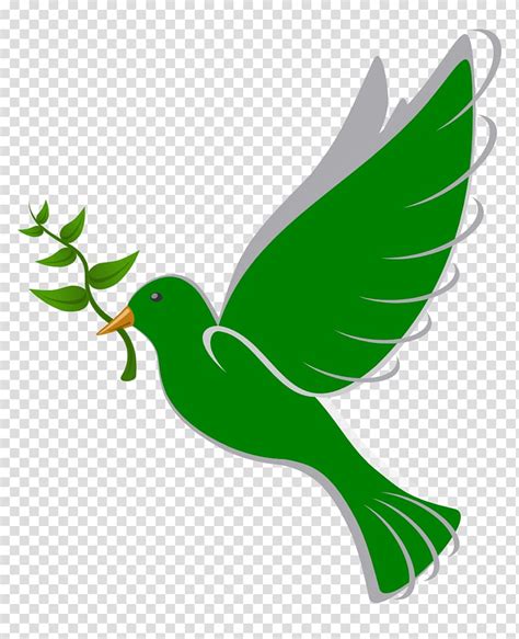 Free Download Columbidae Bird Peace Doves As Symbols Peace Dove