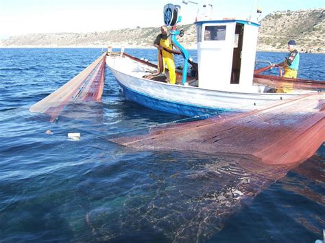 El Govern Abre Al Turismo La Pesca Profesional