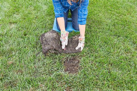 It might affect your lawn too if the sod comes from a it can't be laid over existing growth. 5 Key Steps to Laying Sod | Better Homes & Gardens