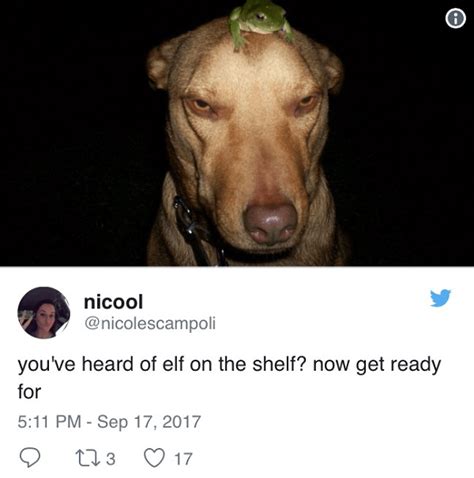 49 Elf On The Shelf Memes That Feel Like Christmas Morning For Adults