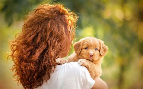 Women Redhead Women With Dogs Outdoors Dog Puppies Bokeh Rear