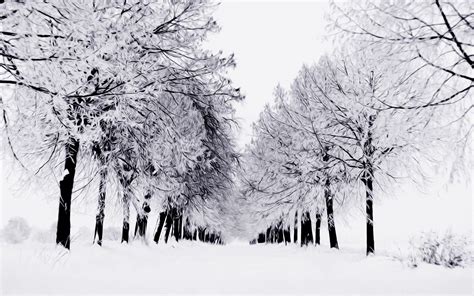 Crie a partir de um modelo. Snowy Scene Wallpapers - Wallpaper Cave