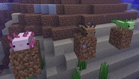 Everything You Need To Know About Axolotls Minecraft In 2023