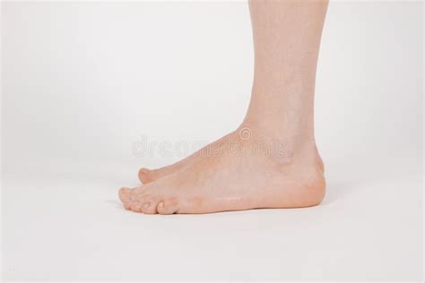 Barefoot And Legs On White Background Closeup Shot Of Healthy