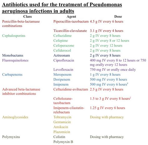 Pseudomonas Aeruginosa Pneumonia Antibiotic Treatment Carpet Vidalondon
