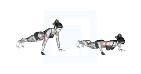 Push Ups Guide Benefits And Form