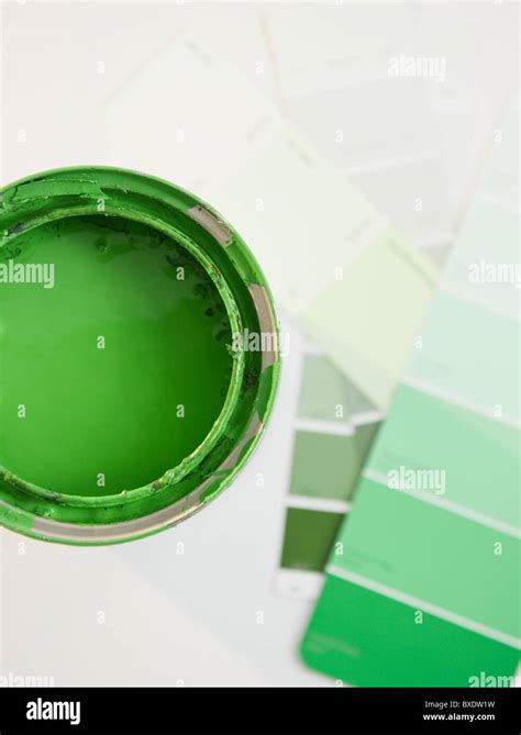 Green Paint And Paint Swatches Stock Photo Alamy