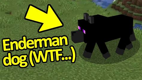 Minecraft Wtf Moments That Will Change Minecraft For You Forever 2