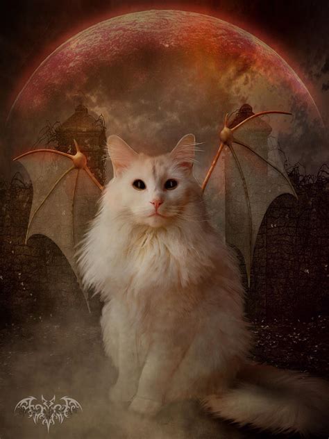 Demon Cat By Sprsprsdigitalart On Deviantart
