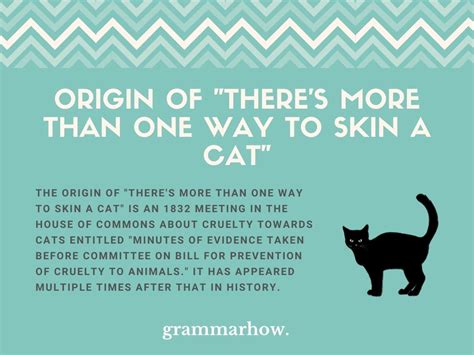 Theres More Than One Way To Skin A Cat Origin And Meaning With Examples