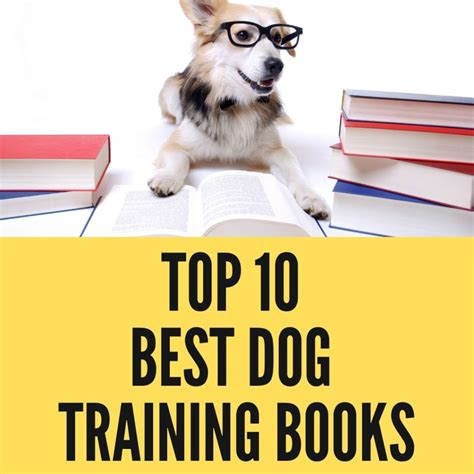 Top 10 Best Dog Training Books Of All Time Oxford Pets