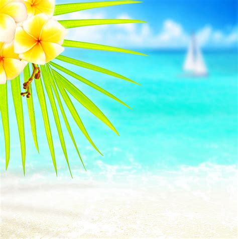 🔥 Free Download Flowers Border Tropical Wallpaper Beach 1440x900 For