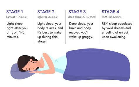 søvn alt om de 4 søvnstadier og søvncyklusser