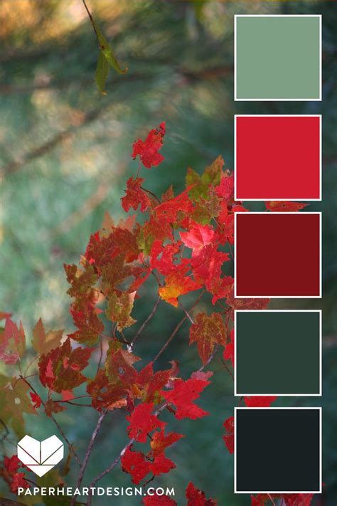 Red Color Palette Red Teal Leaves Fall Color Palette Color