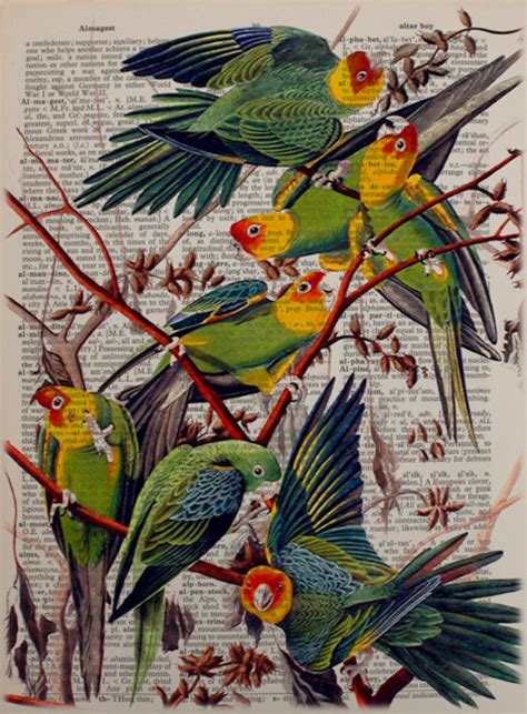 Audubon Birds Dictionary Art Print Carolina Parakeet Wall Art Etsy