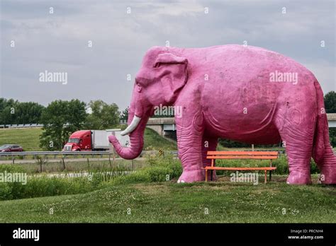 Pink Elephant Hi Res Stock Photography And Images Alamy