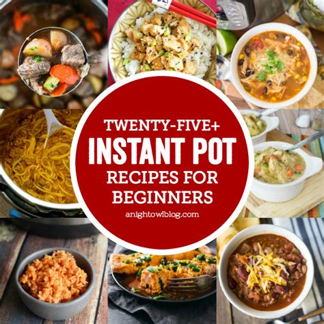 Instant Pot Recipes for Beginners | A Night Owl Blog