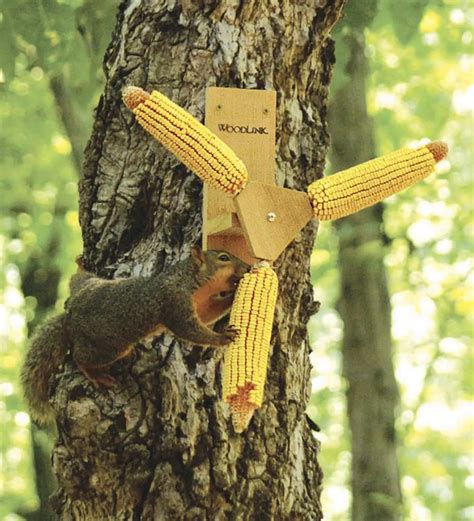 Hang This Whimsical Feeder On A Tree And Add A Corn Cob Or Other Treat