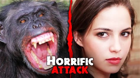 Terrifying Chimp Attack On Natasha Lee Ate Her Face Youtube