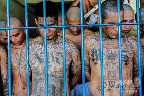 エルサルバドル、ギャング組織別の収監を廃止 暴力沙汰への懸念も 写真23枚 国際ニュース：afpbb News