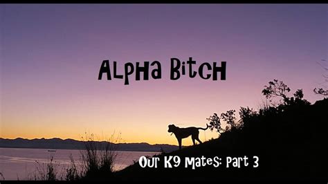 Alpha Bitch Our K9 Mates Part 3 Youtube