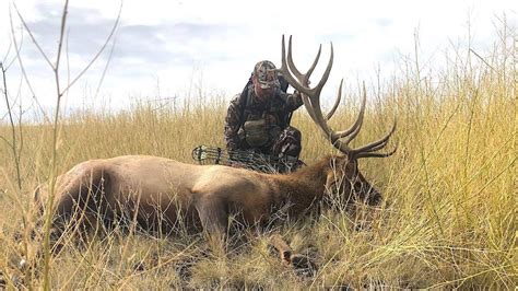 How To Kill A Bull Elk On Opening Day Meateater Hunting
