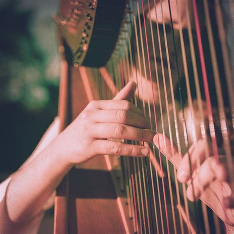 Do Harpists Have Too Many Rules — Danielle Kuntz