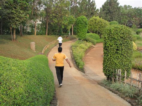 How Morning Walk Is Essential For Health Health Tips
