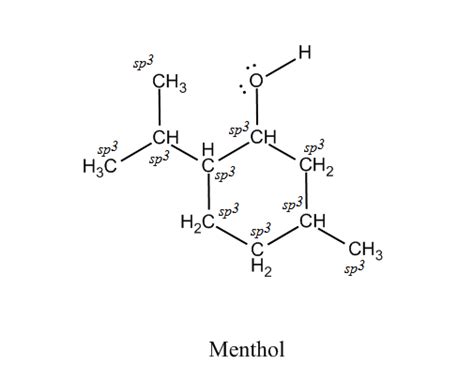 Menthol Is Used In Soaps Perfumes And Foods It Is Present Quizlet