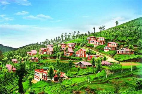 15 Best Hotels In Ooty For Honeymoon In 2021 For A