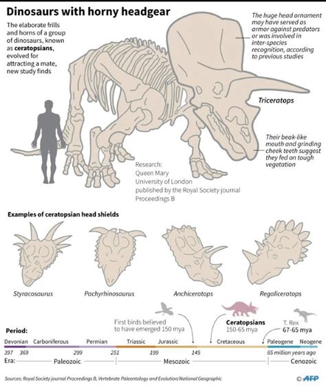 Triceratops Sex Position Telegraph