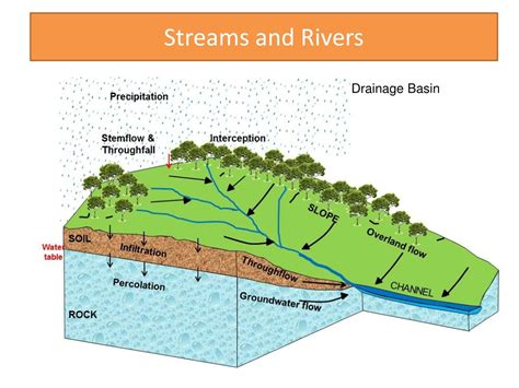 Ppt Chapter 1 Lesson 2 Streams And Rivers Lakes Powerpoint