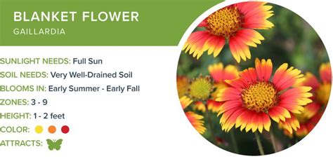We did not find results for: Low Maintenance Flowers That Bloom Every Year - Top 10 Low ...