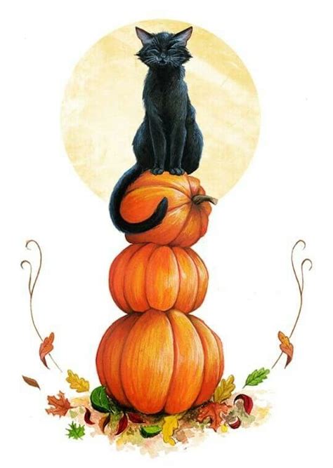Cat And Pumpkins Halloween Illustration Art And Illustration Art
