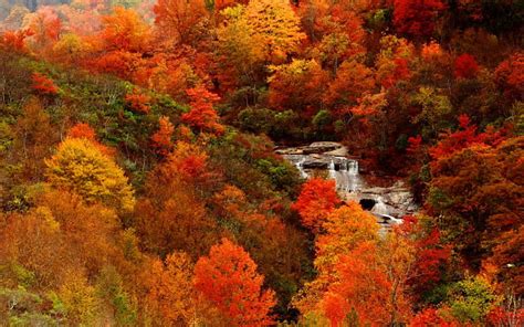 Autumn View River Creek Colors Nice Season Trees Cascades