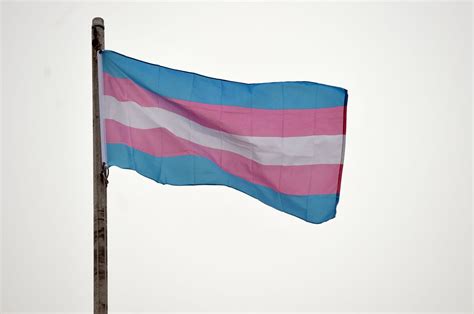 Washtenaw County Will Raise Flag To Recognize Transgender Day Of