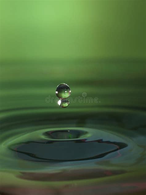 Water Drop In Green Stock Photo Image Of Drops Ripple 1511008