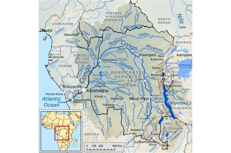 Congo Basins Vital Clues To Hivs Behaviour How Were Trying To Crack
