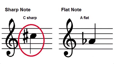 Basic Music Theory Lesson Accidentals Flats Sharps And Naturals